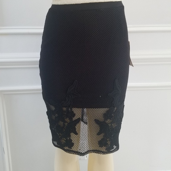 blush noir Dresses & Skirts - Mesh lace skirt